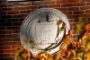 Georgia Tech Seal with fall leaves in front. 